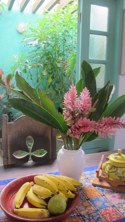 Alfazema Cultural Bed And Breakfast 아렘베페 외부 사진